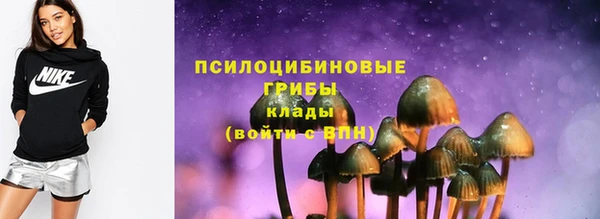 альфа пвп Медногорск