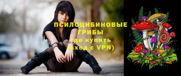 mix Медвежьегорск